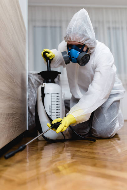 Emergency Pest Control Services in Eudora, AR